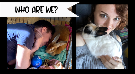 Who are we?