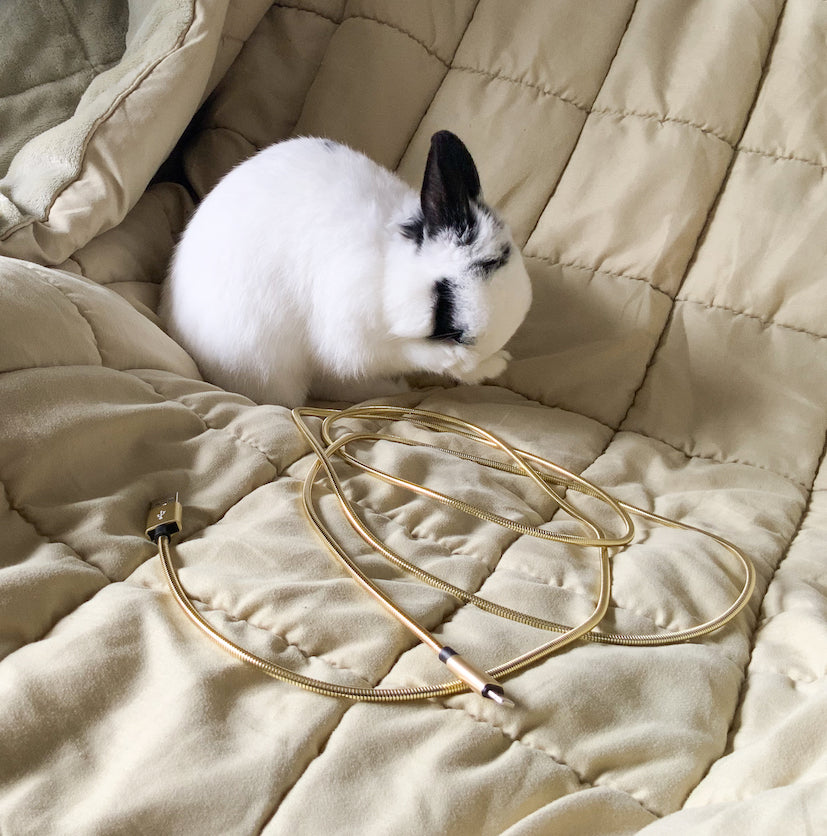 Bunny proof cables - cute rabbit phone cables for pet owners.