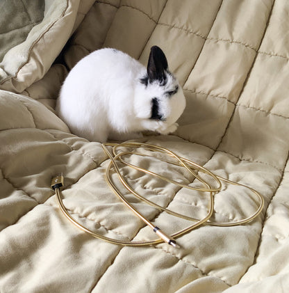 Bunny proof cables - cute rabbit phone cables for pet owners.
