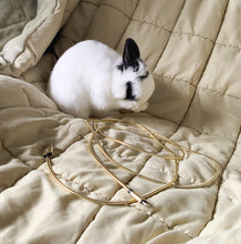 Load image into Gallery viewer, Bunny proof cables - cute rabbit phone cables for pet owners.
