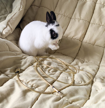 Little cute bunny cleaning itself. No more broken phone cables - even from this cutie.