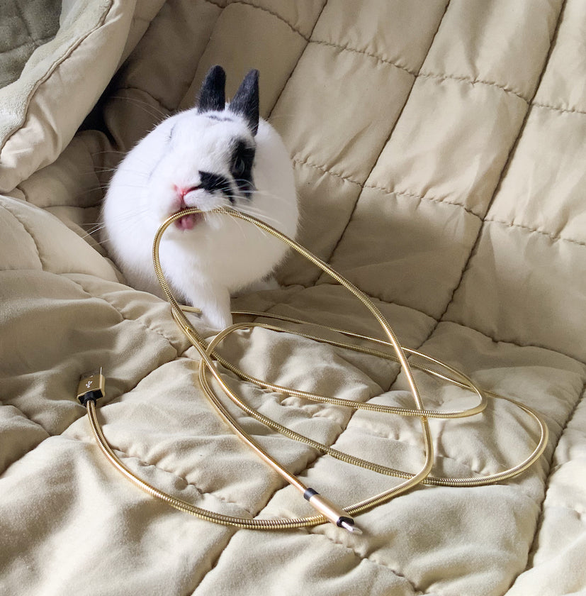 Anti Chew Bunny-Proof USB Metal Cables -