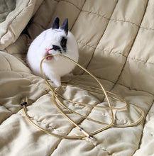 Load image into Gallery viewer, Cute bunny with spicy-hay cord usb apple device phone Samsung usb-c.
