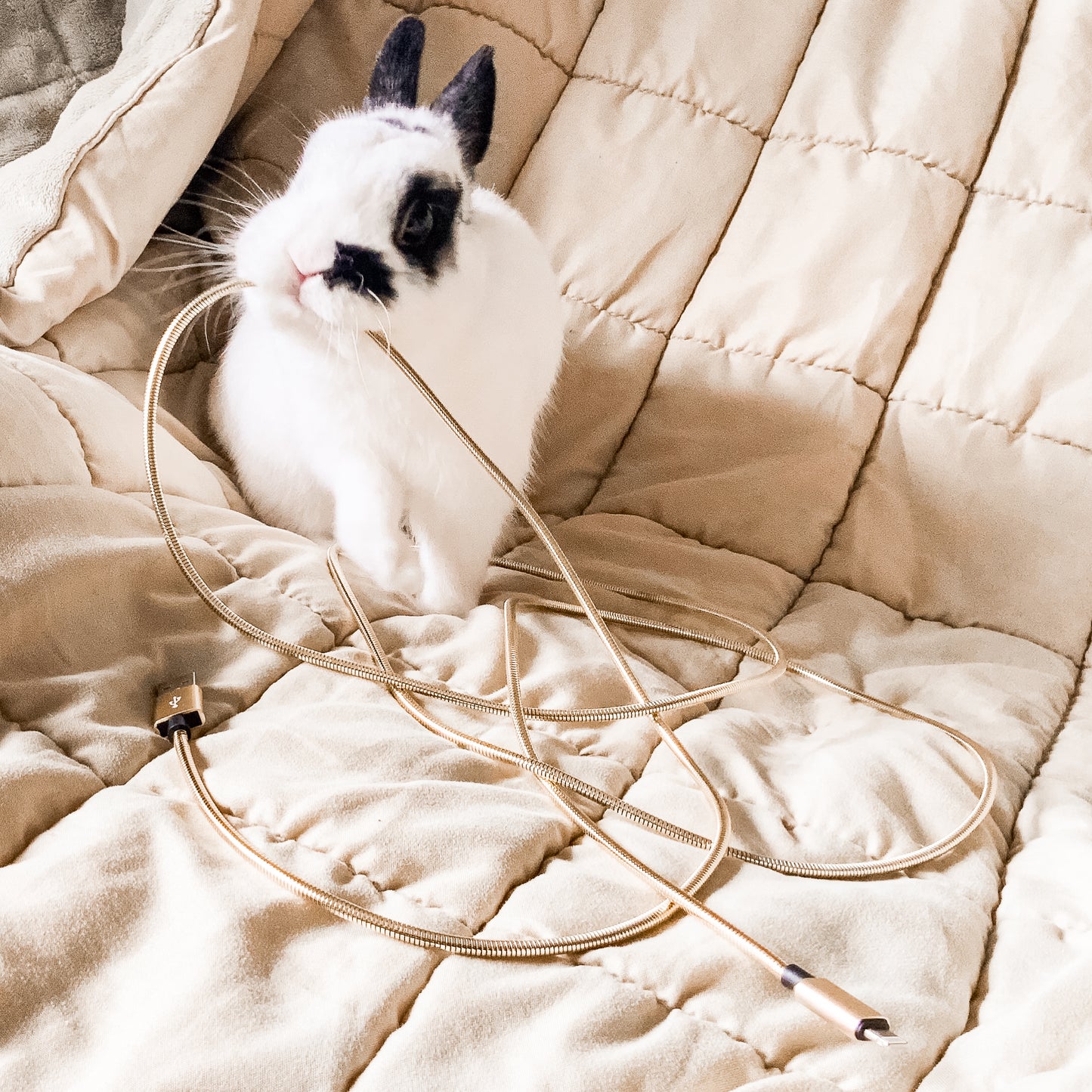Bunnyproof USB Cables - "Spicy Hay"